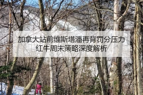 jia-na-da-zhan-qian-wei-si-ta-pan-zai-bei-fa-fen-ya-li-hong-niu-zhou-mo-ce-lve-shen-du-jie-xi-2-755.jpg